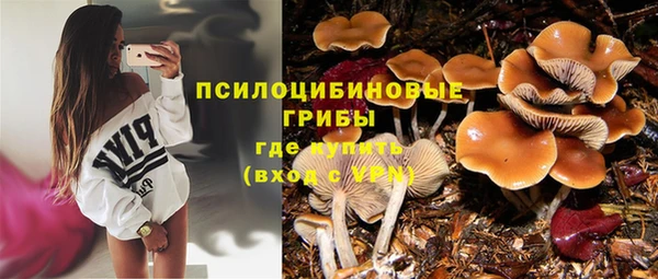 СК Нягань
