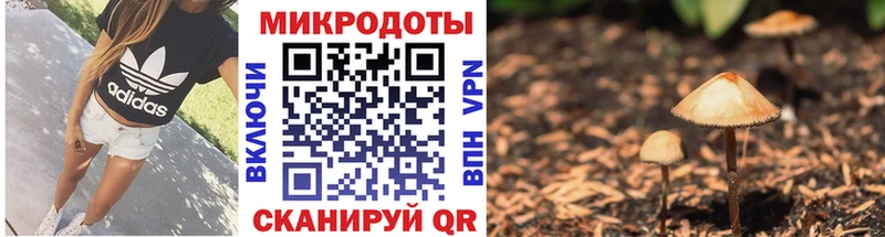 ссылка на мегу tor  Новотитаровская  Псилоцибиновые грибы MAGIC MUSHROOMS 