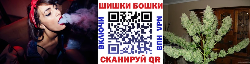 Каннабис ГИДРОПОН  где найти наркотики  Новотитаровская 